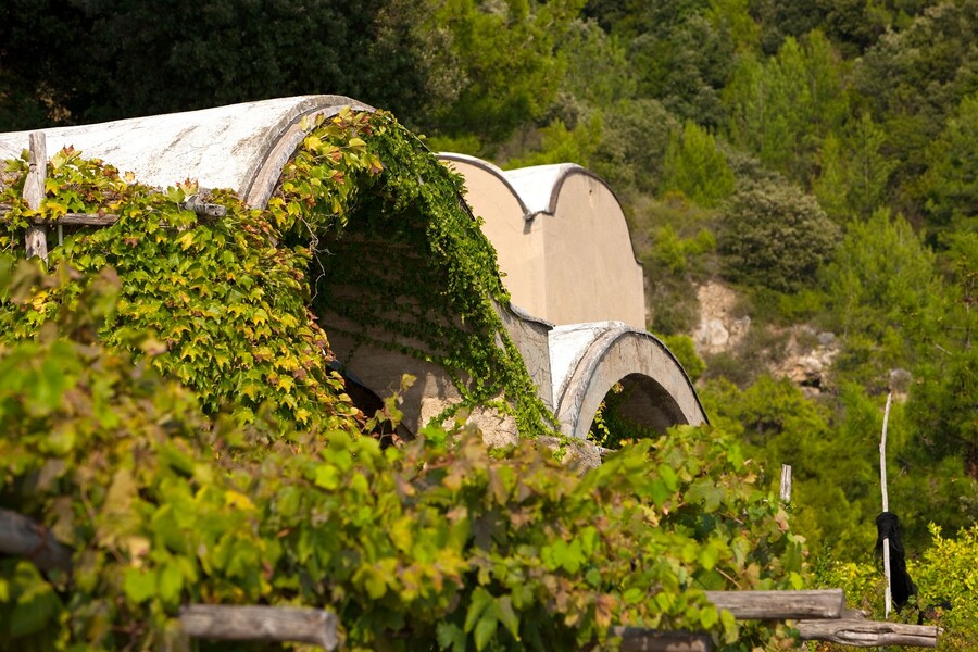 Limonaia di Maiori10