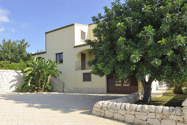 PalmanovaDnew