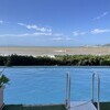 villa lantana 118