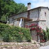 Steinhaus casa fiora mit bewachsener Mauer in der Toskana