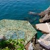 Castiglione Ravello-Area Amalfi-Coast Villa di Castiglione gallery 041 1613674845