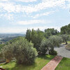 Ferienhaus oberhalb von Lucca mit Pool umgeben von Olivenbäumen