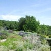 Blick über die Landschaft der Toskana vom Ferienhaus in Casole d´Elsa