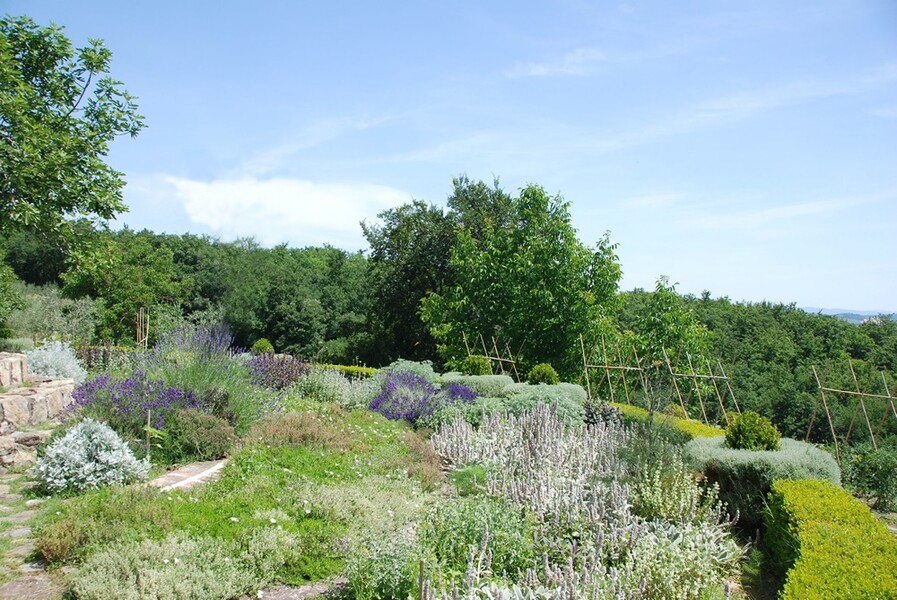 Blick über die Landschaft der Toskana vom Ferienhaus in Casole d´Elsa